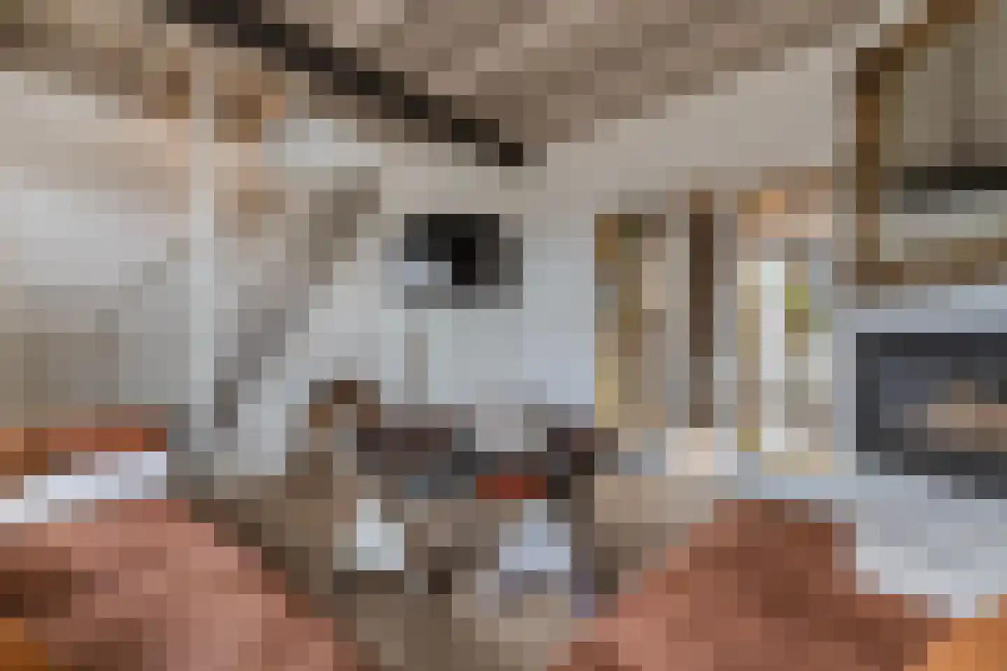 De Meer 27 Drachten thumbnail 4