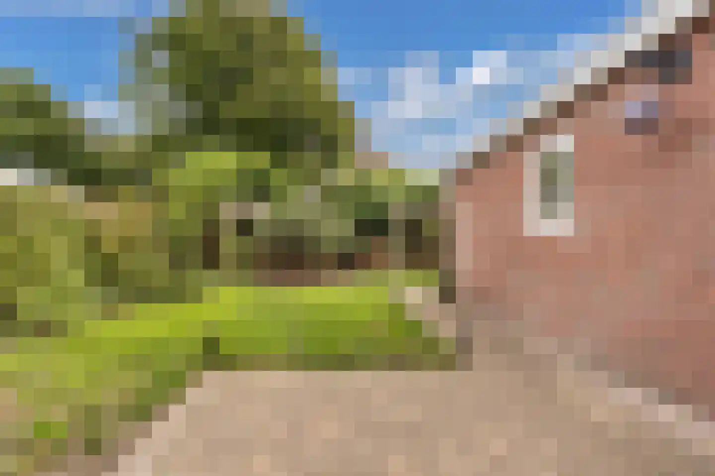 De Meer 27 Drachten thumbnail 41