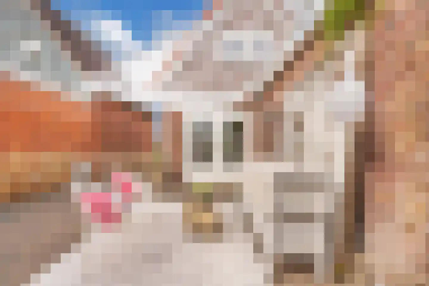 De Meer 27 Drachten thumbnail 46