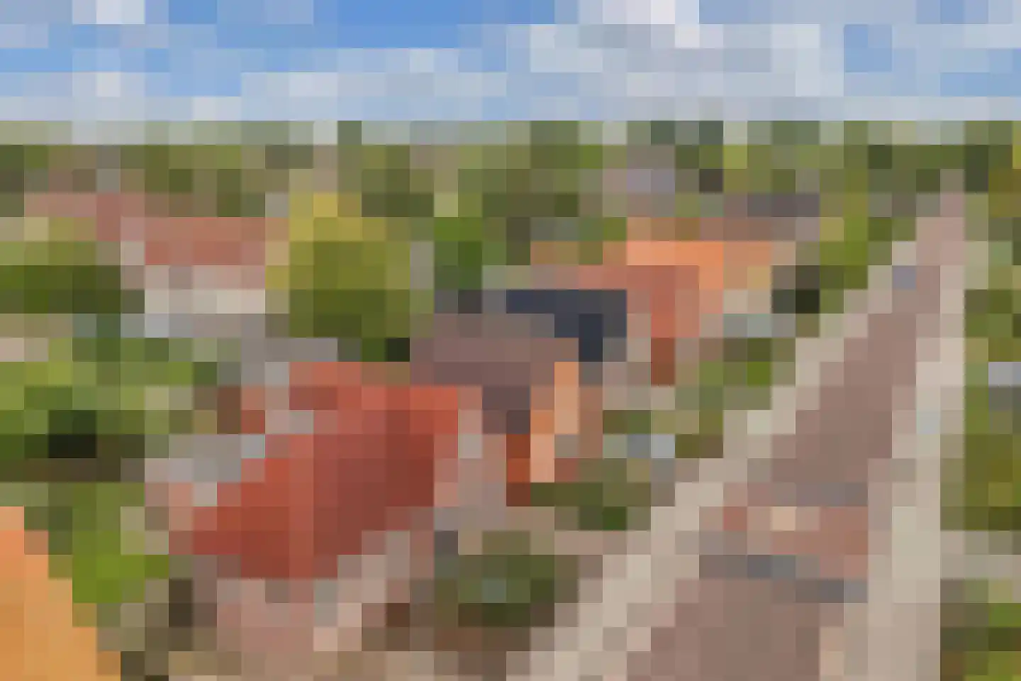 De Meer 27 Drachten thumbnail 51