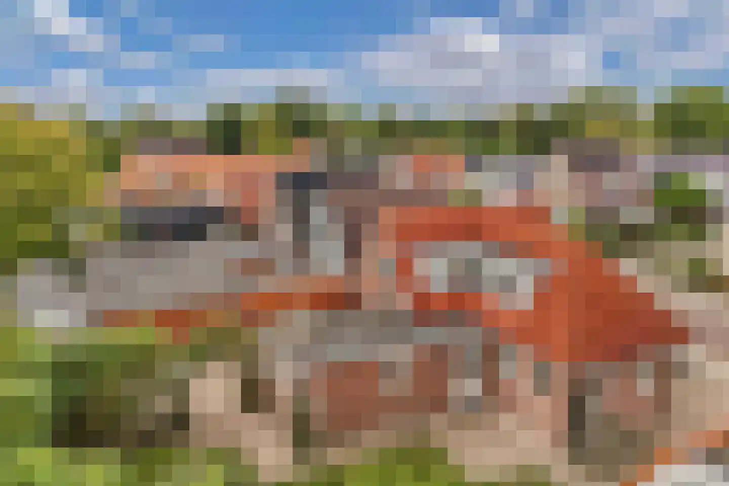 De Meer 27 Drachten thumbnail 55