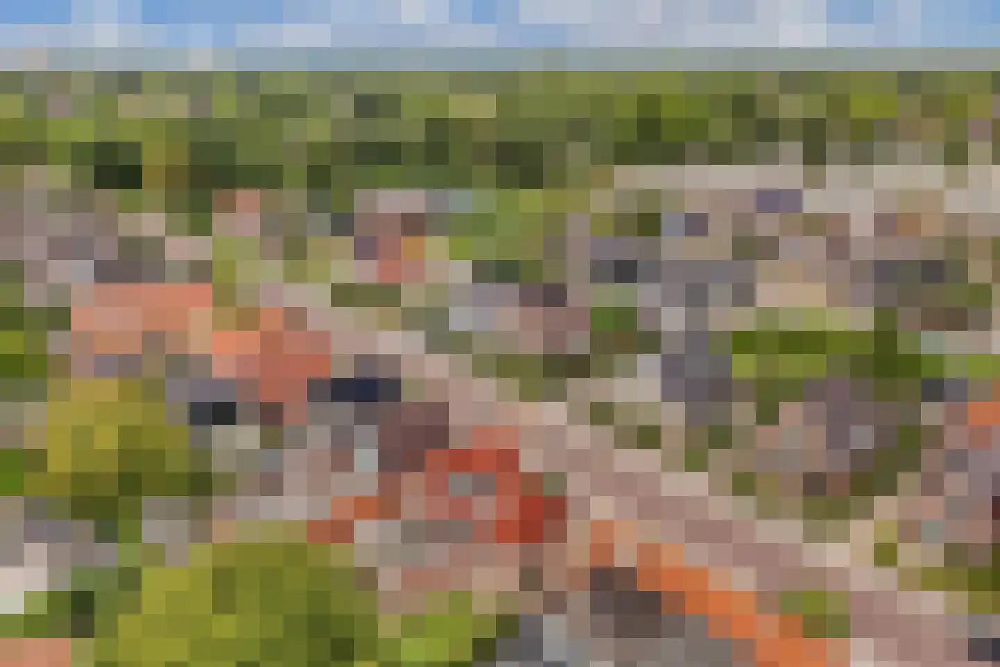 De Meer 27 Drachten thumbnail 56