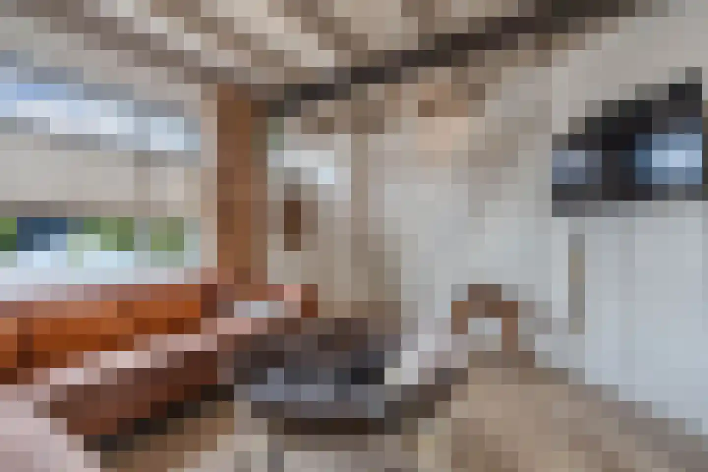 De Meer 27 Drachten thumbnail 8
