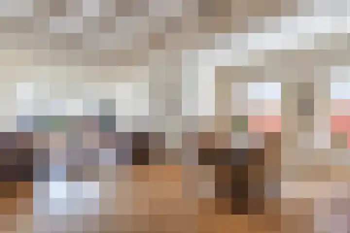 De Meer 6 Drachten thumbnail 11