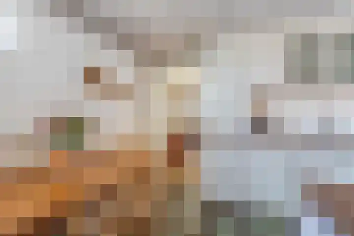 De Meer 6 Drachten thumbnail 17