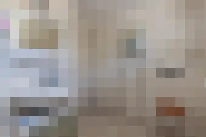De Meer 6 Drachten thumbnail 26