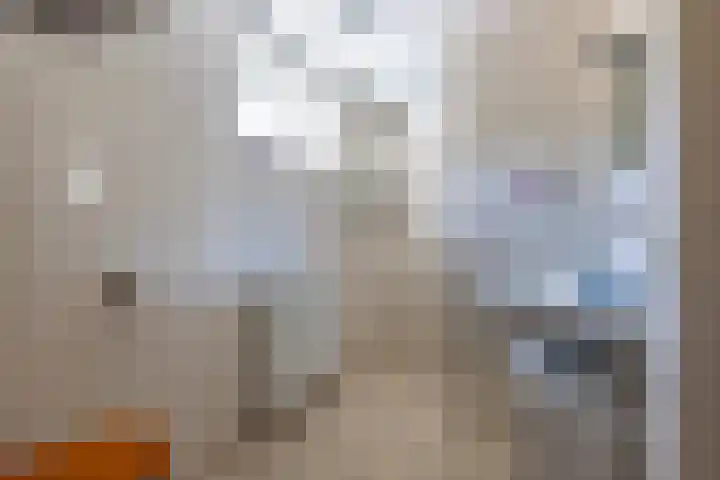 De Meer 6 Drachten thumbnail 27