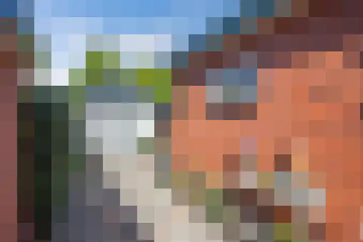 De Meer 6 Drachten thumbnail 38