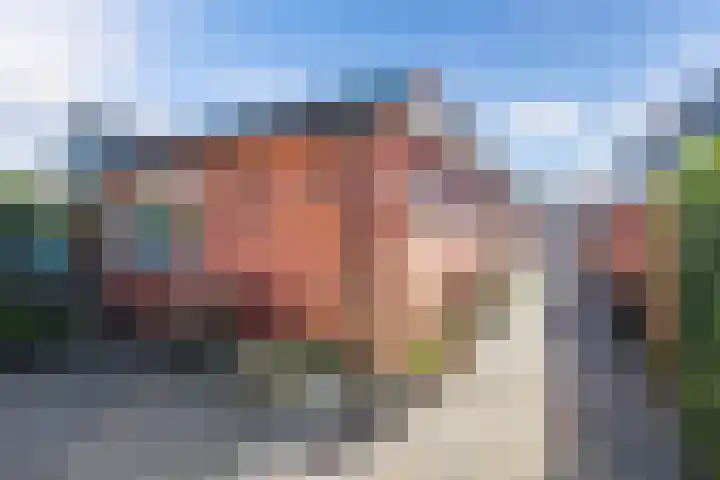 De Meer 6 Drachten thumbnail 4