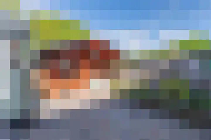 De Meer 6 Drachten thumbnail 41
