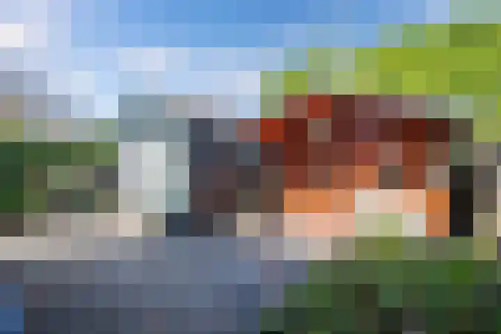 De Meer 6 Drachten thumbnail 42