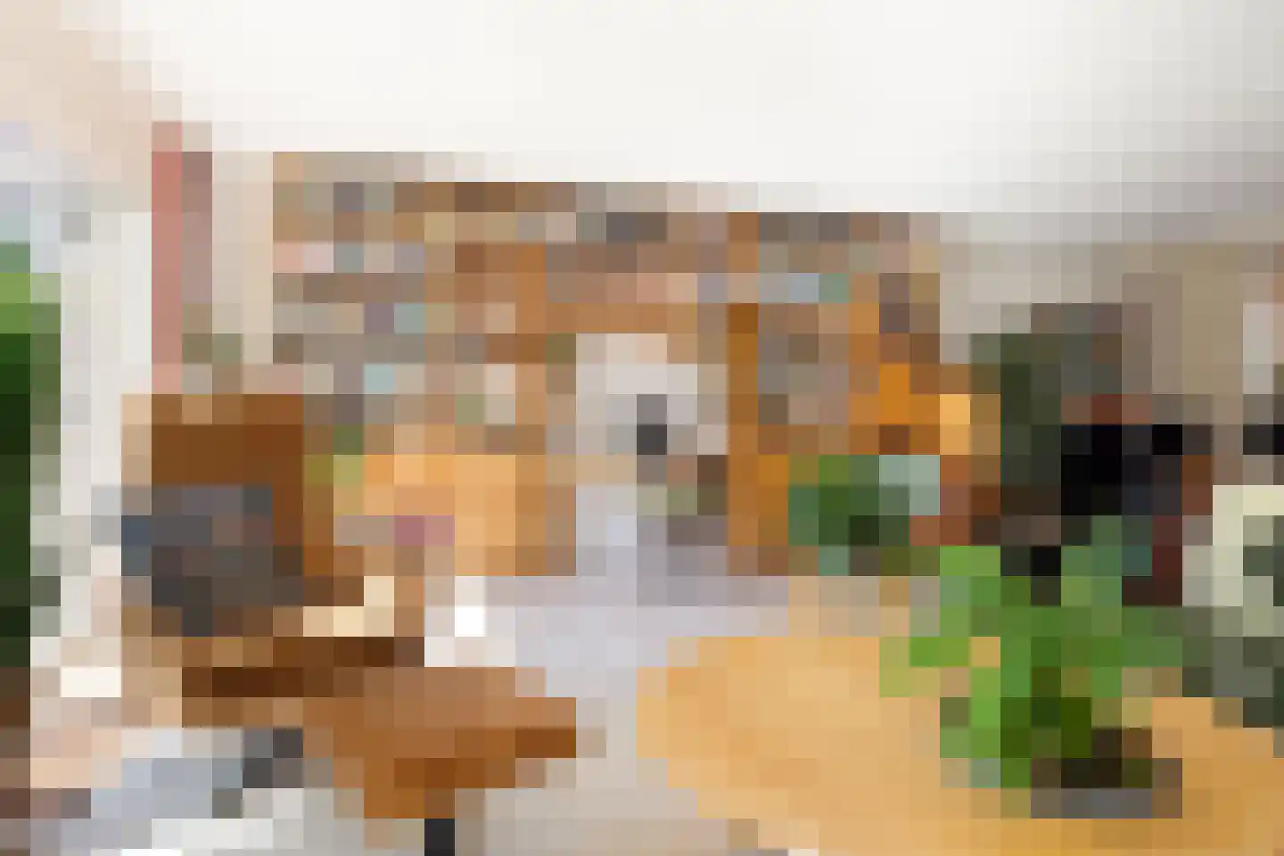 De Meer 6 Kaatsheuvel thumbnail 13