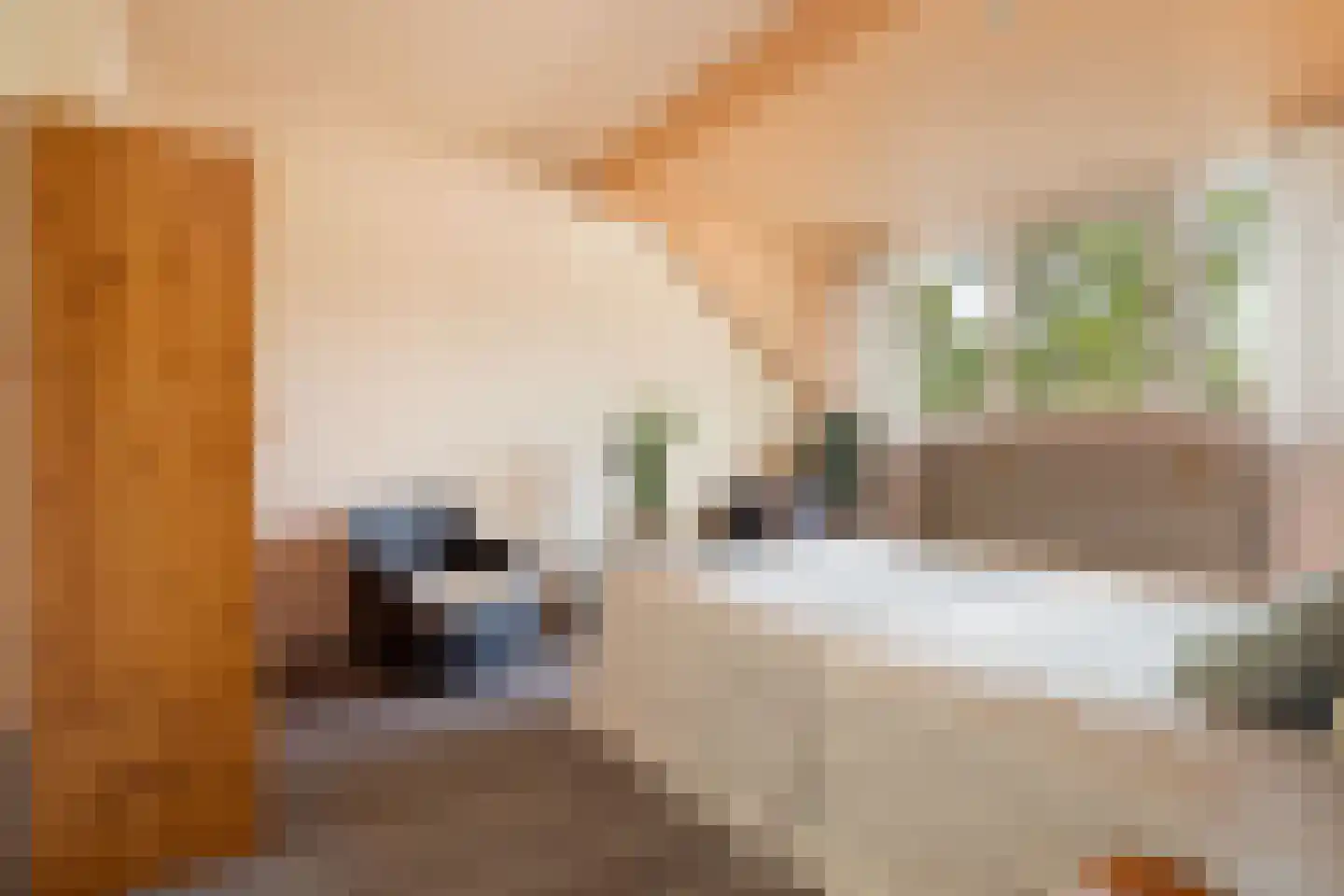 De Meer 6 Kaatsheuvel thumbnail 26