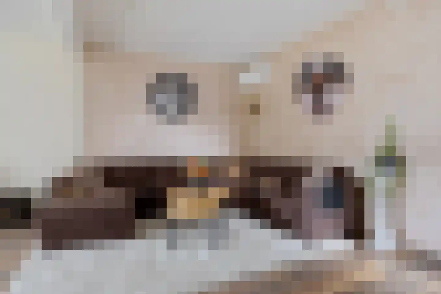 De Meerakkers 11 Emmen thumbnail 10