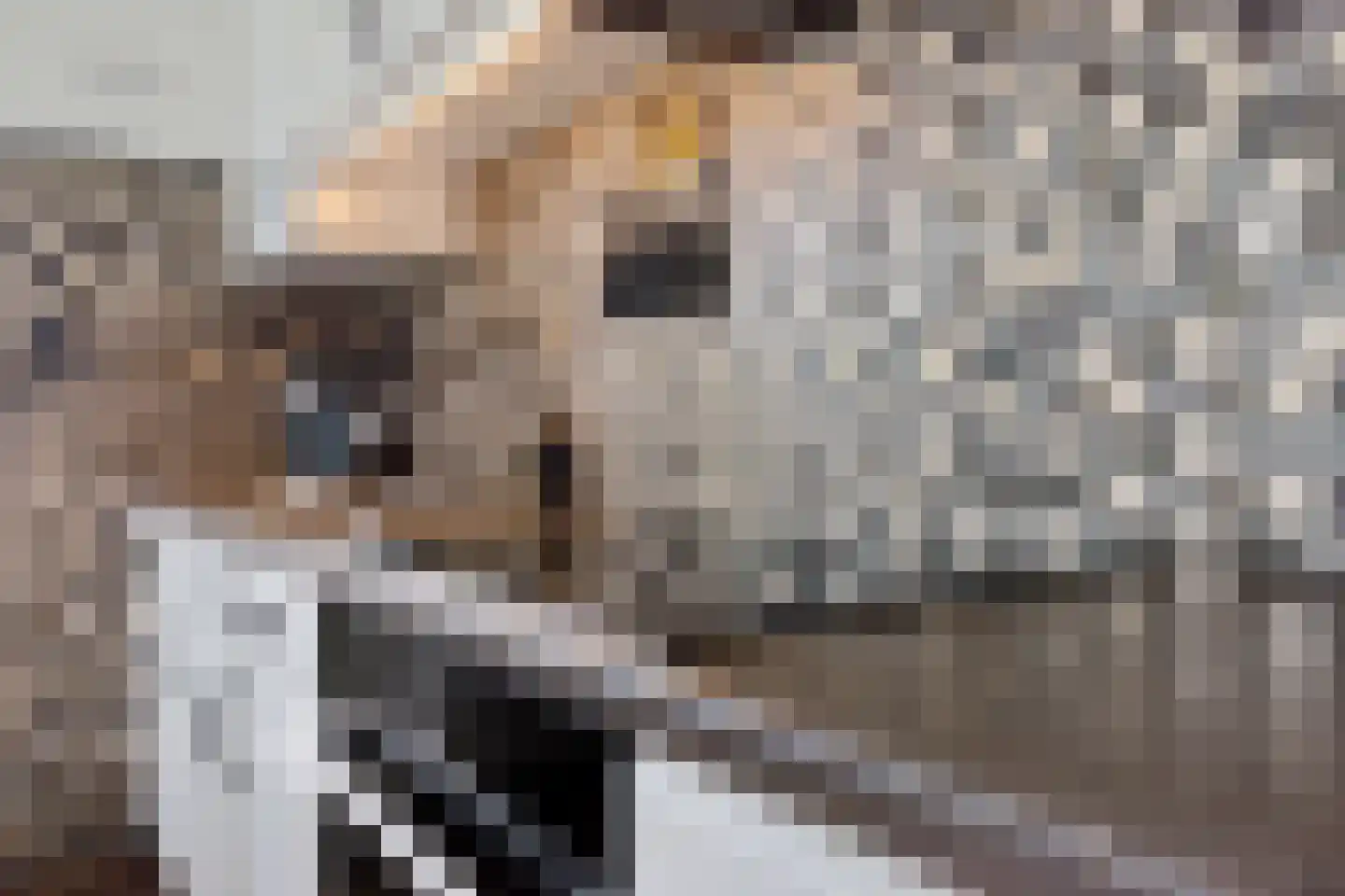 De Meerakkers 11 Emmen thumbnail 15
