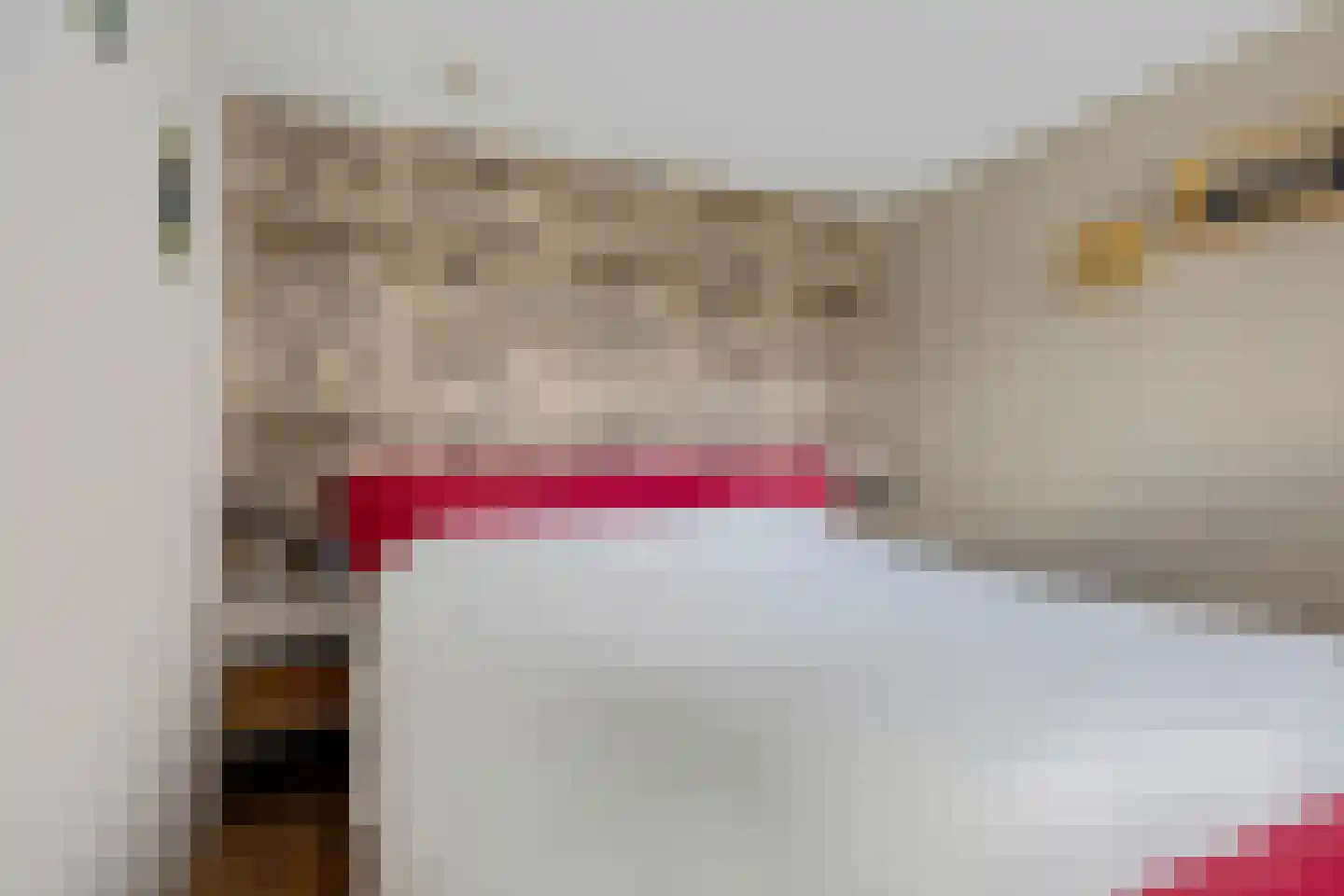 De Meerakkers 11 Emmen thumbnail 22
