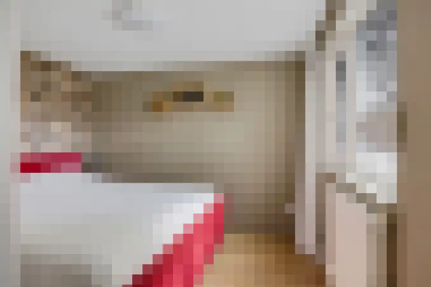 De Meerakkers 11 Emmen thumbnail 23