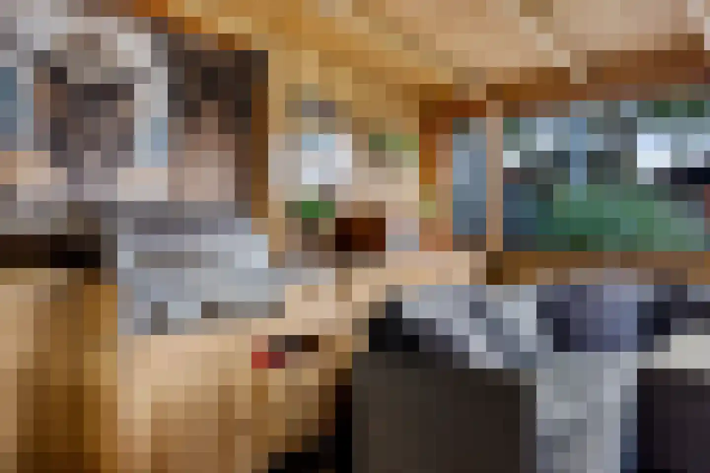 De Meerakkers 11 Emmen thumbnail 34