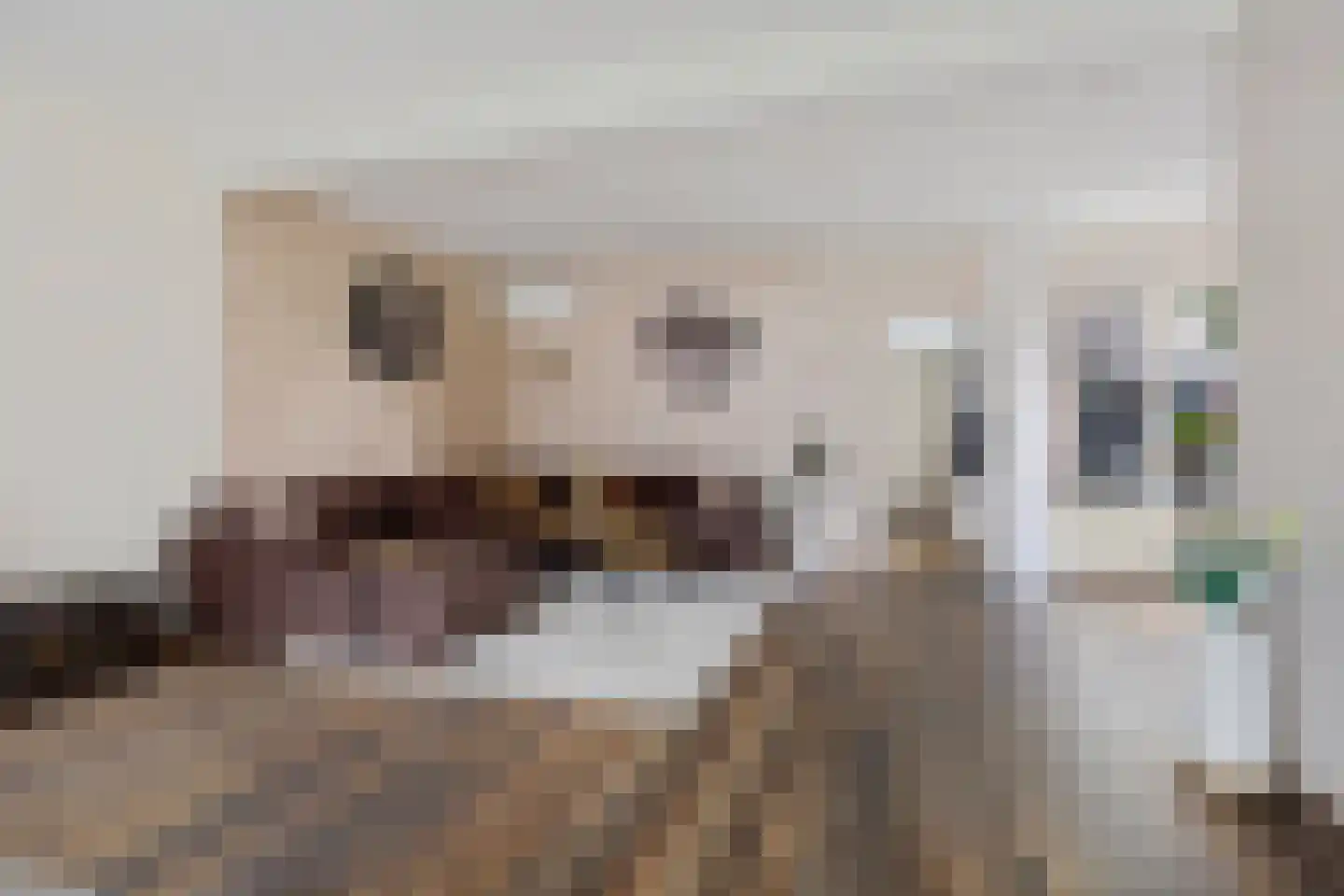 De Meerakkers 11 Emmen thumbnail 6