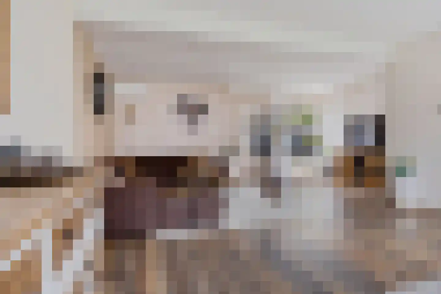 De Meerakkers 11 Emmen thumbnail 7