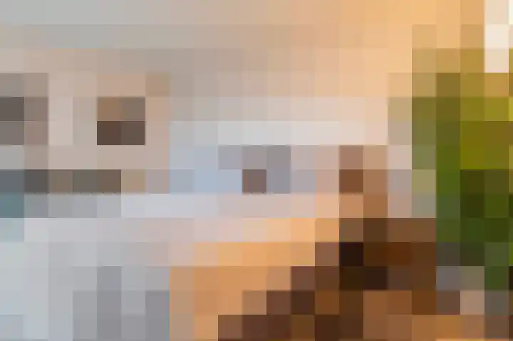 de Meerdam 52 Goor thumbnail 24