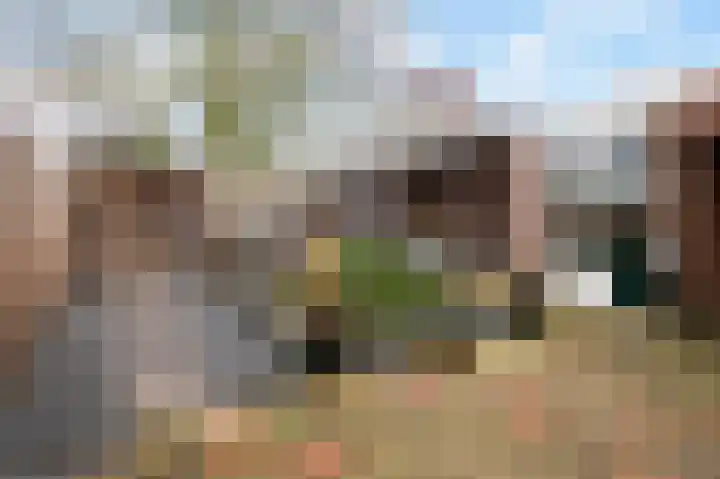 de Meerdam 52 Goor thumbnail 5