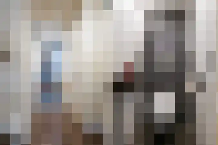 de Meerdam 52 Goor thumbnail 8