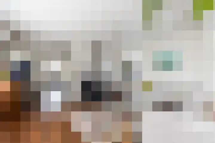 De Meerdammen 1 Alem thumbnail 11