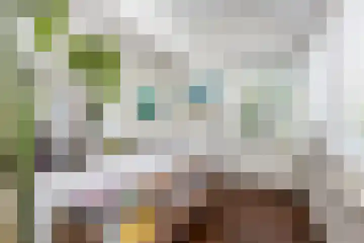 De Meerdammen 1 Alem thumbnail 12