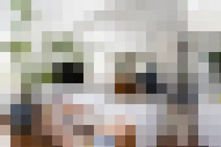De Meerdammen 1 Alem thumbnail 13