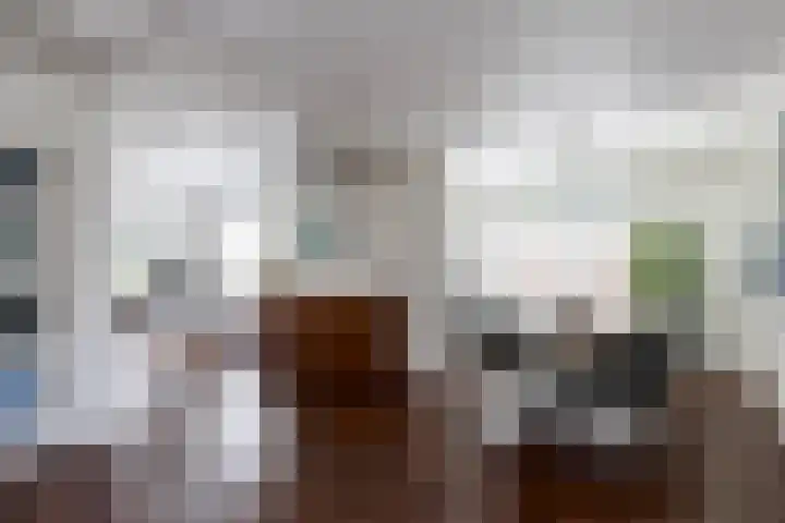 De Meerdammen 1 Alem thumbnail 18