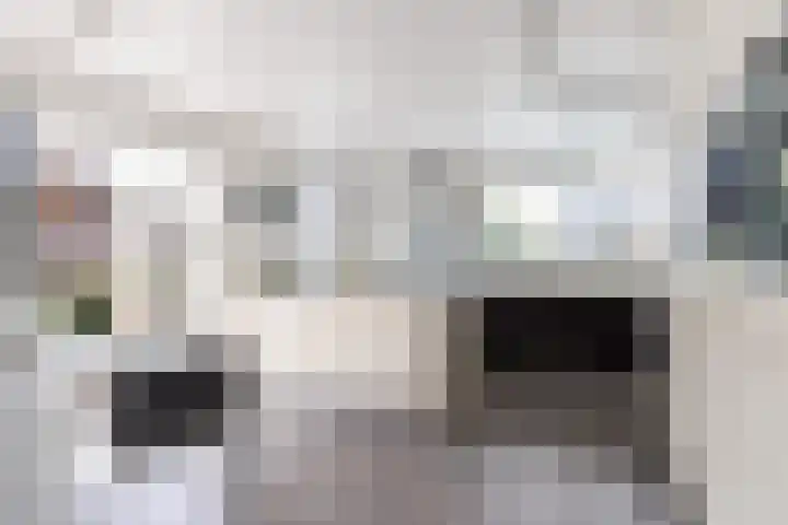 De Meerdammen 1 Alem thumbnail 23