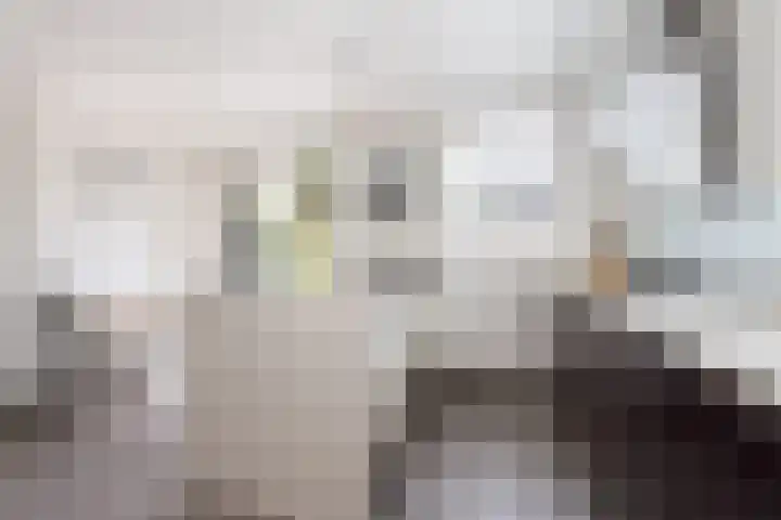 De Meerdammen 1 Alem thumbnail 24