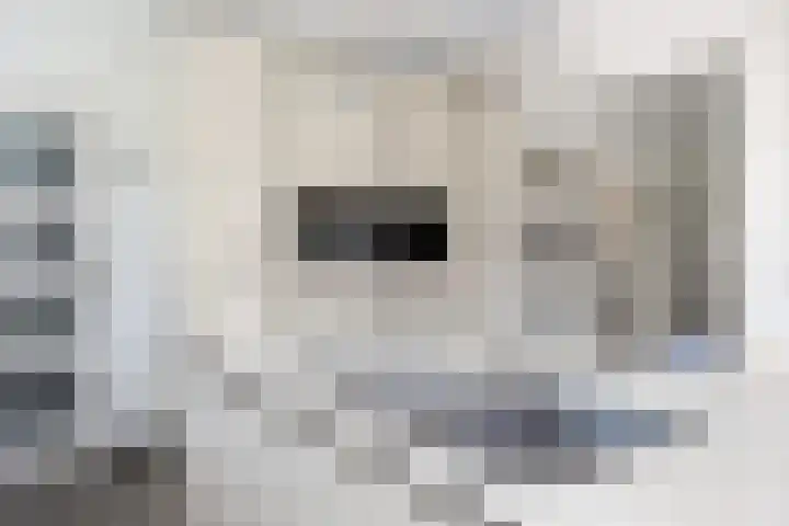 De Meerdammen 1 Alem thumbnail 25