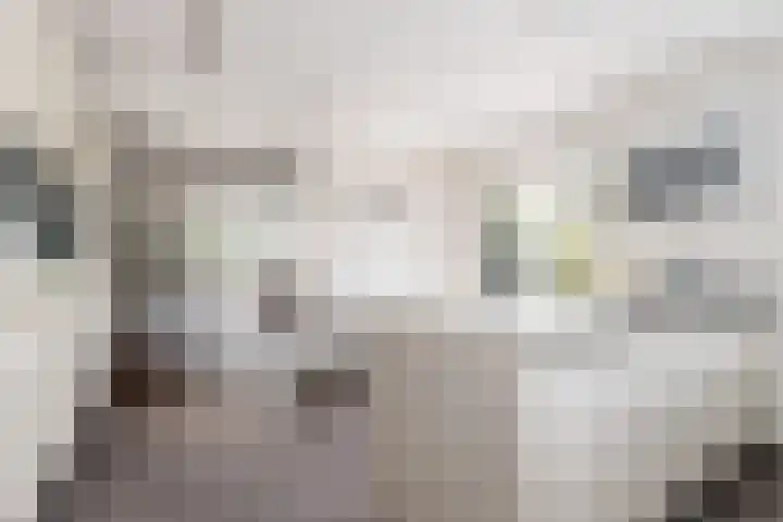 De Meerdammen 1 Alem thumbnail 26