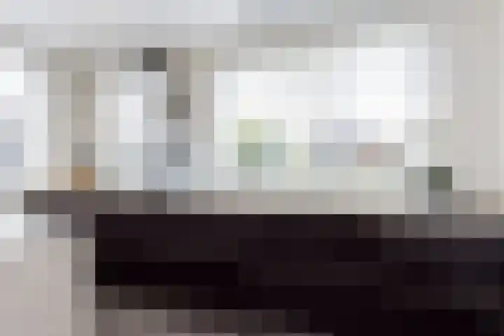 De Meerdammen 1 Alem thumbnail 27