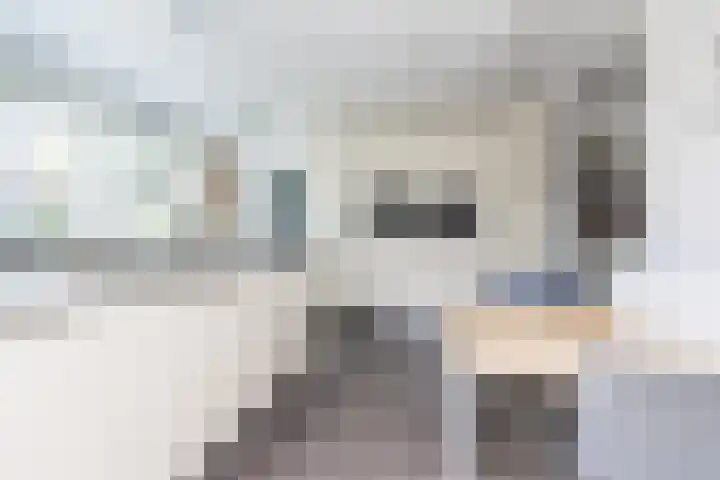 De Meerdammen 1 Alem thumbnail 28