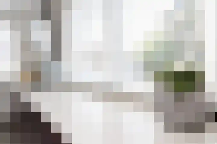 De Meerdammen 1 Alem thumbnail 30