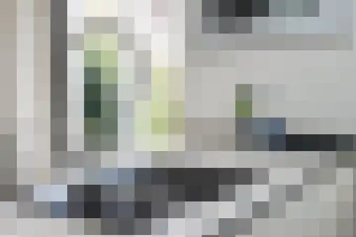 De Meerdammen 1 Alem thumbnail 31