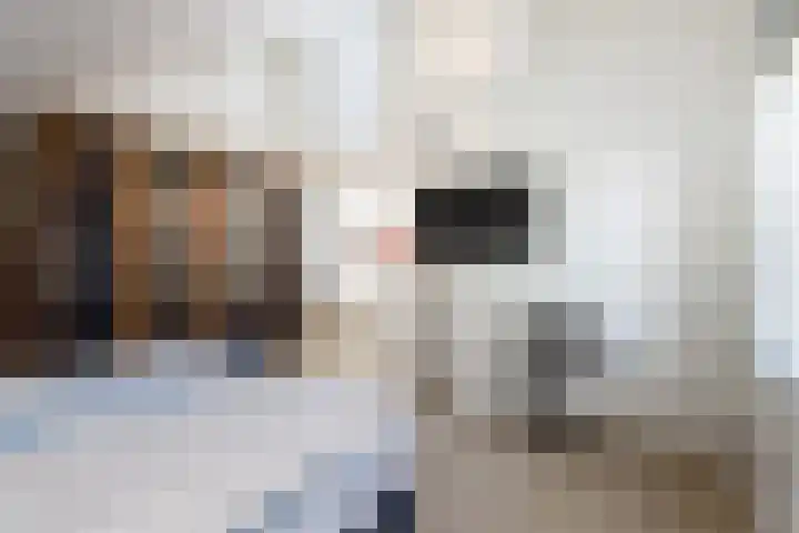 De Meerdammen 1 Alem thumbnail 39