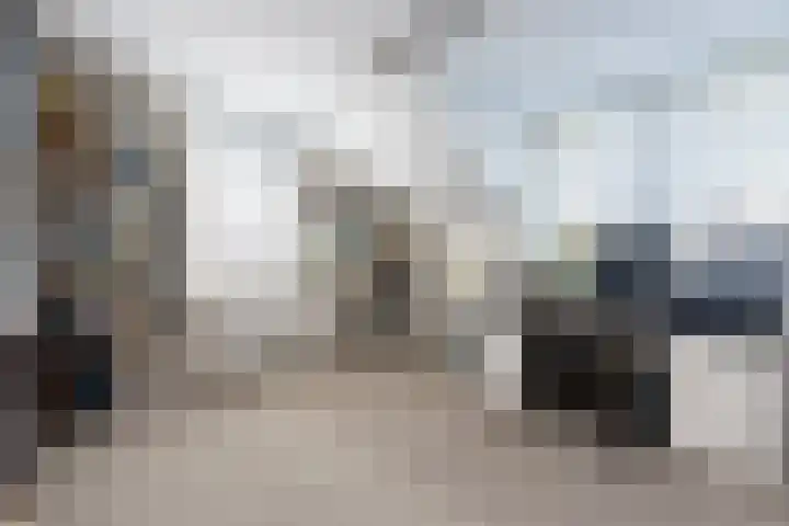 De Meerdammen 1 Alem thumbnail 40