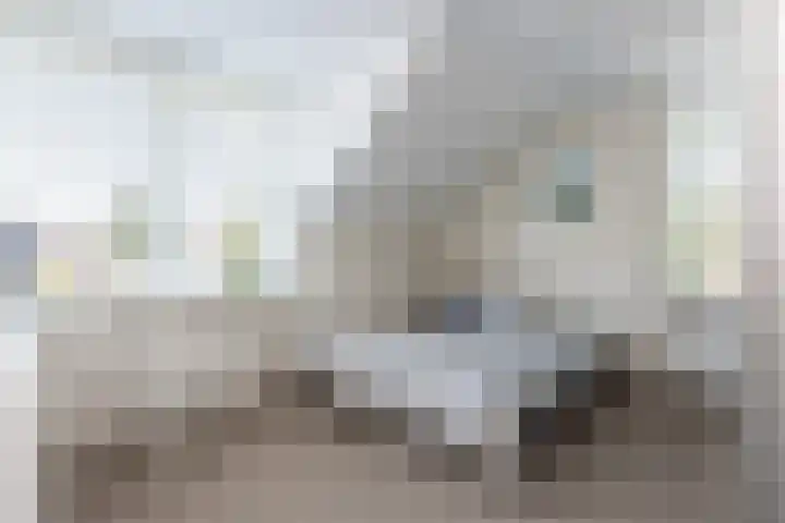 De Meerdammen 1 Alem thumbnail 43