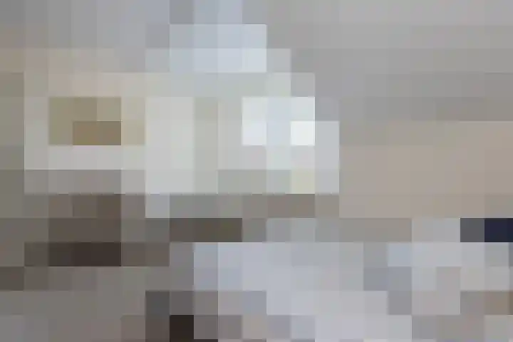 De Meerdammen 1 Alem thumbnail 44