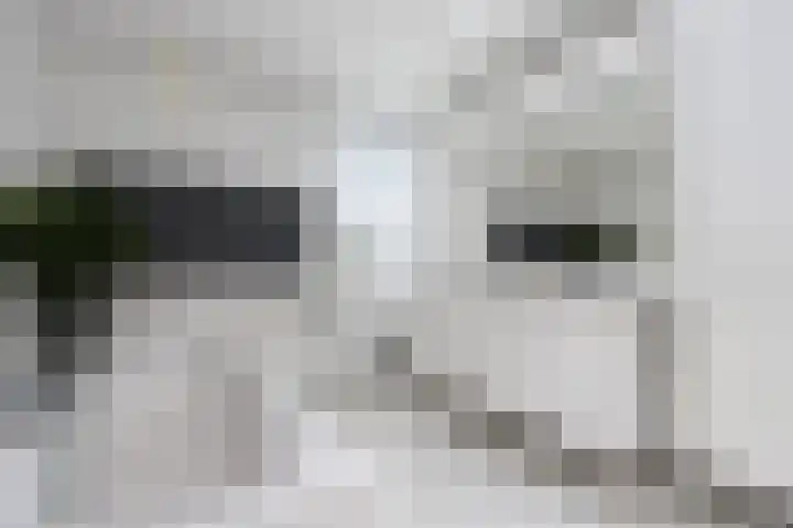 De Meerdammen 1 Alem thumbnail 46