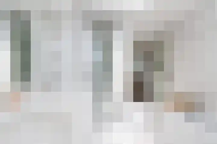 De Meerdammen 1 Alem thumbnail 48