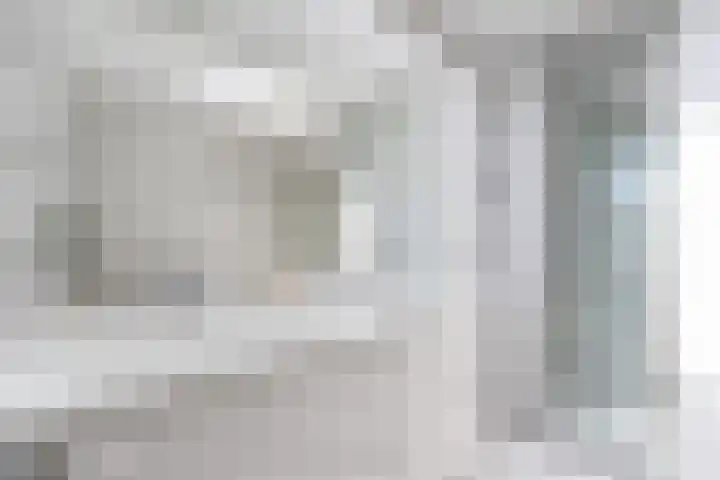 De Meerdammen 1 Alem thumbnail 50