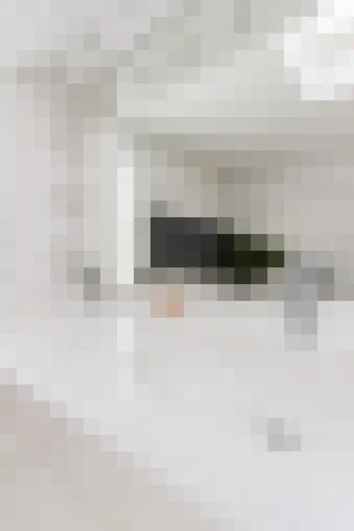 De Meerdammen 1 Alem thumbnail 52
