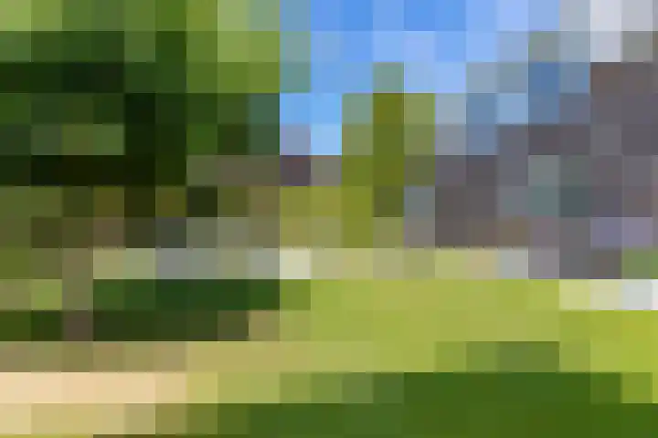 De Meerdammen 1 Alem thumbnail 54
