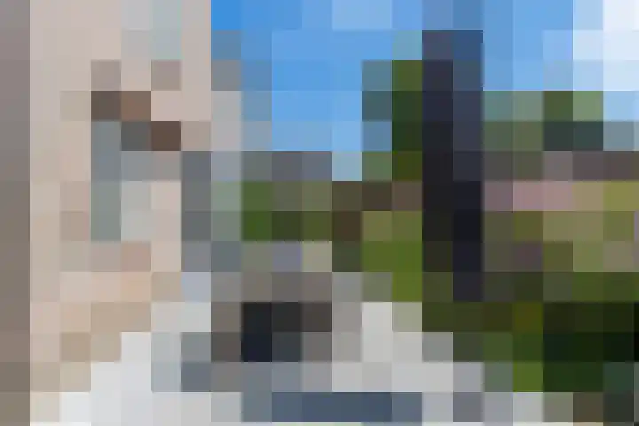 De Meerdammen 1 Alem thumbnail 55