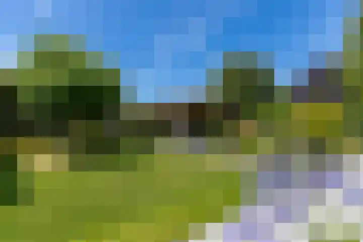 De Meerdammen 1 Alem thumbnail 56